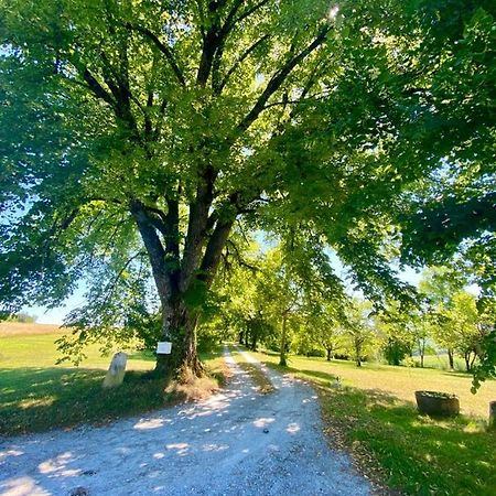 Gite De L'Edelinie Nanteuil-Auriac-de-Bourzac エクステリア 写真