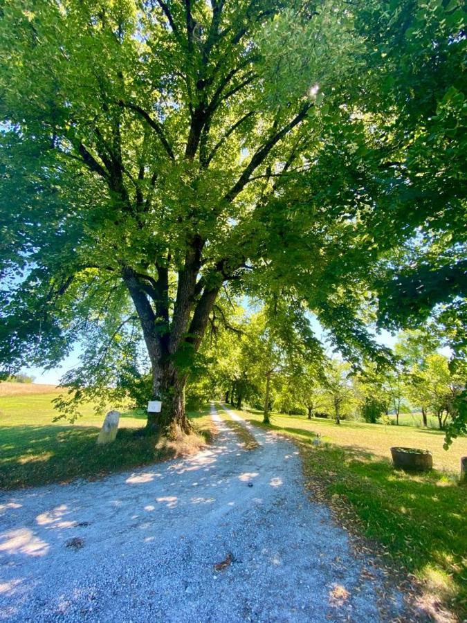 Gite De L'Edelinie Nanteuil-Auriac-de-Bourzac エクステリア 写真